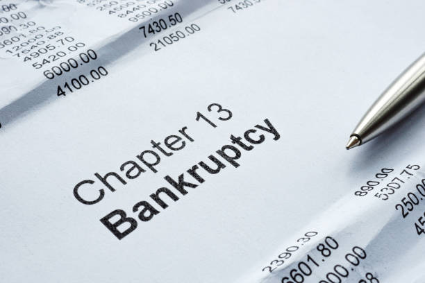 chapter 13 repayment options calculator